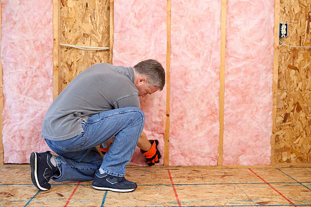 Best Insulation Repair Services  in Grafton, OH